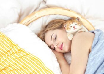Soothing Foods That Help You Sleep Peacefully