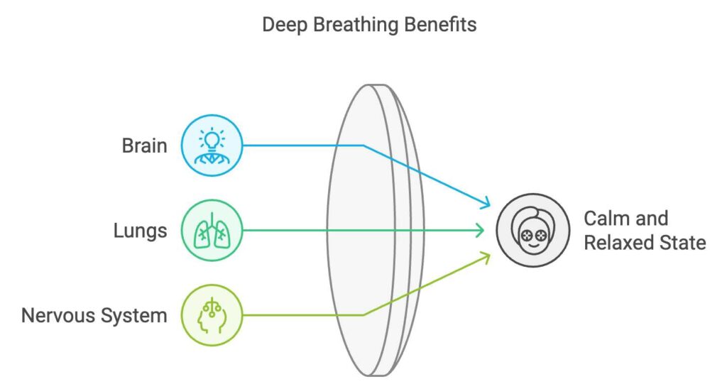 Understanding the Role of Breathing in Stress Management