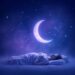 Slumber Secrets: Unveiling Top Melatonin Supplements for Restful Sleep 14 role of melatonin in sleep