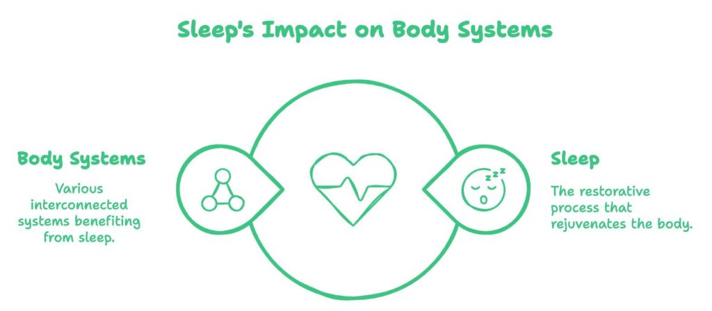 The Sleep-Health Connection