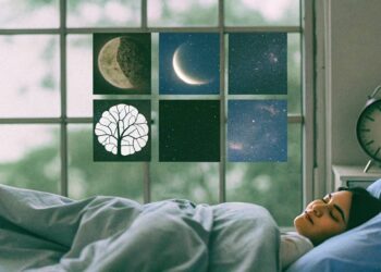 Exploring the Wonders of Sleep Cycles
